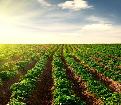 sicurezza lavoro in agricoltura