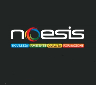 noesis group