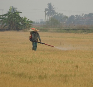 protezione lavoratori in agricoltura