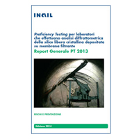 inail-report-pt-2013