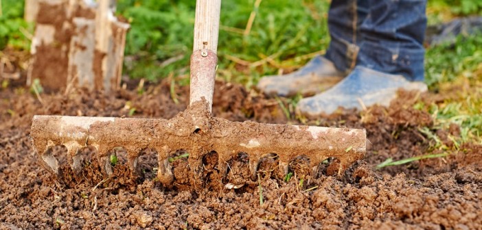 legge-contrasto-sfruttamento-agricoltura