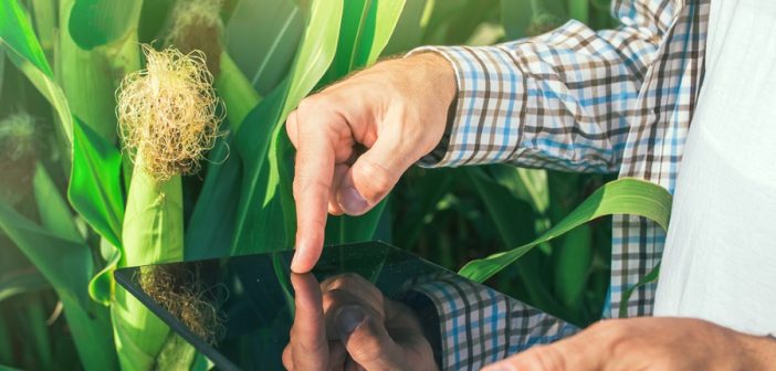 download-codice-isi-agrocoltura