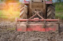 lavoro-occasionale-agricoltura-norme