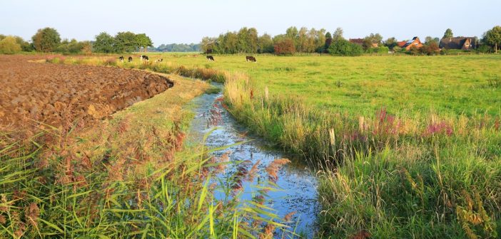 contaminazione-idrica-da-fitofarmaci