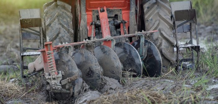 elenco-lavoratori-agricoli-2017