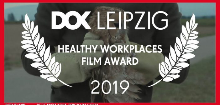 vincitore-healthy-workplaces-film-award-2019