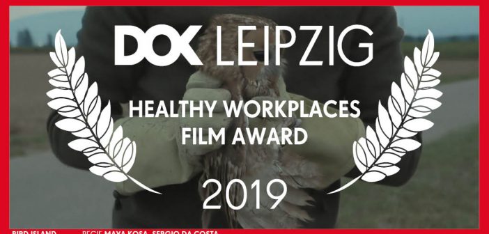 vincitore-healthy-workplaces-film-award-2019