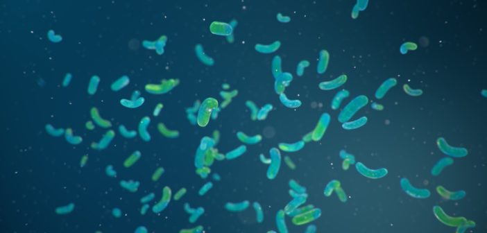 agenti-biologici-lavoro