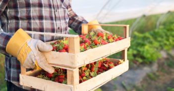 prevenzione-covid-agricoltura