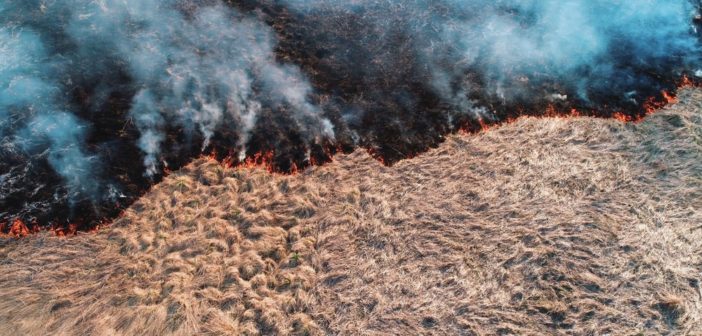 rischio-incendi-agricoltura