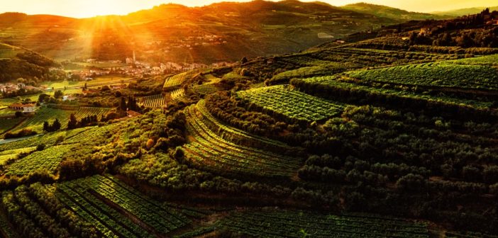 valpolicella